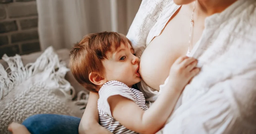 Pentingnya Dukungan Menyusui pada Masa Nifas bagi Kesehatan Ibu dan Bayi