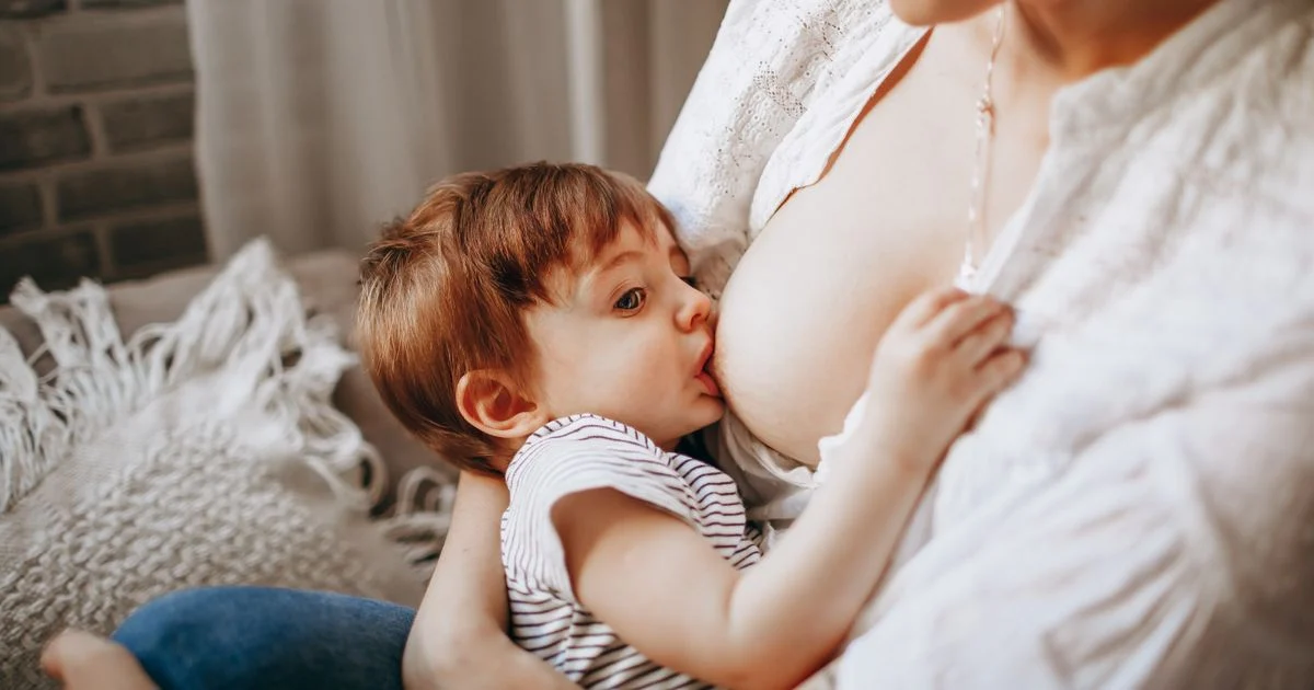 Pentingnya Dukungan Menyusui pada Masa Nifas bagi Kesehatan Ibu dan Bayi